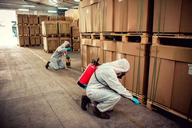 Best Best Pest Control Companies  in Moodys, OK