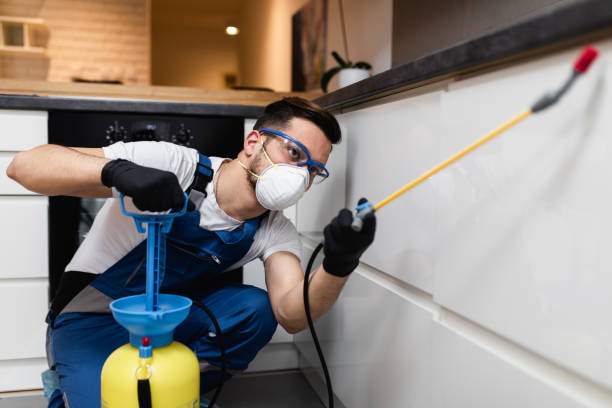 Best Ant Control Services  in Moodys, OK