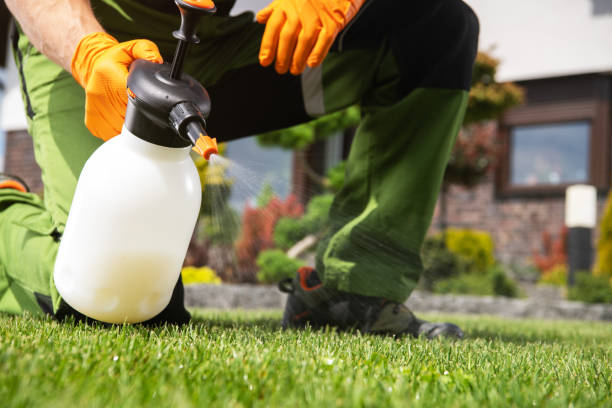 Best Wasp Removal Services  in Moodys, OK