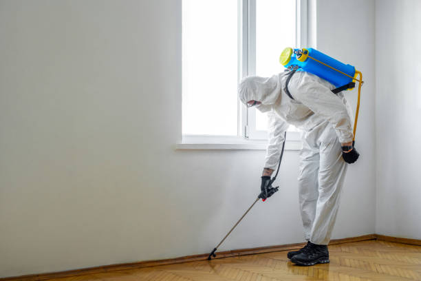 Best Affordable Exterminators  in Moodys, OK
