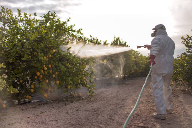 Best Pest Prevention Services  in Moodys, OK
